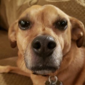 Meet your Posher, Karen